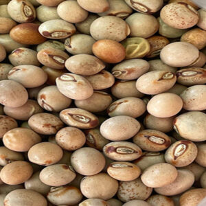 PegionPea Seeds