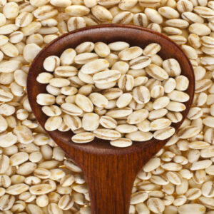 Barley
