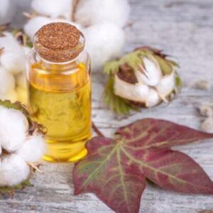 Cotton Refined Oil